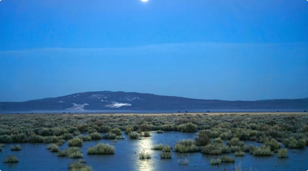 Quais são as escolhas de veículos mais populares em Klamath Falls?